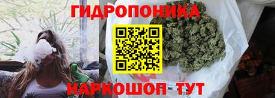 дживик Нальчик